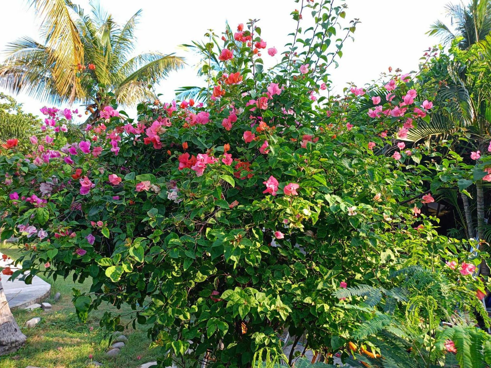 Bintang Tiga Bungalows Gili Air Esterno foto